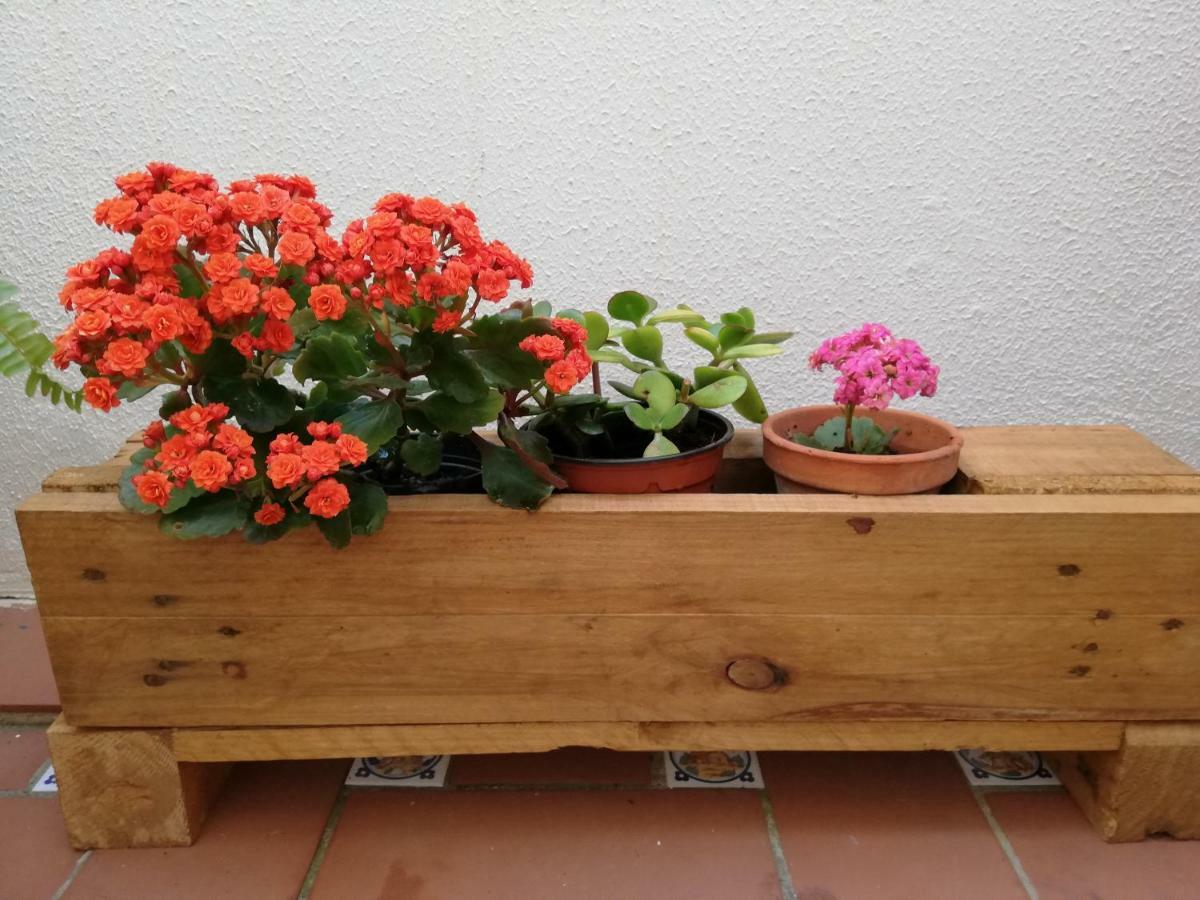Apartamentos Coralba - Duplex Bahia De Cadiz San Fernando Εξωτερικό φωτογραφία